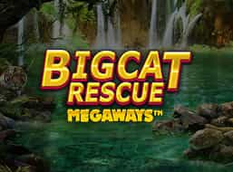 Big Cat Rescue Megaways